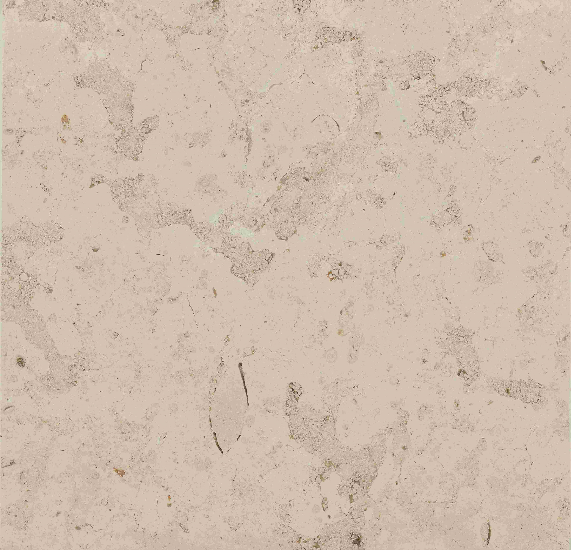 Beige Pacifico/030/Шлифованная (43663 (2 900 х 1 700))
