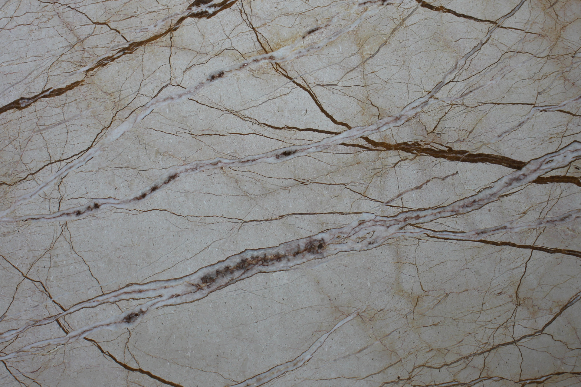 Spider Gold Beige/020/Полированная (41424 (2 970 х 1 600))