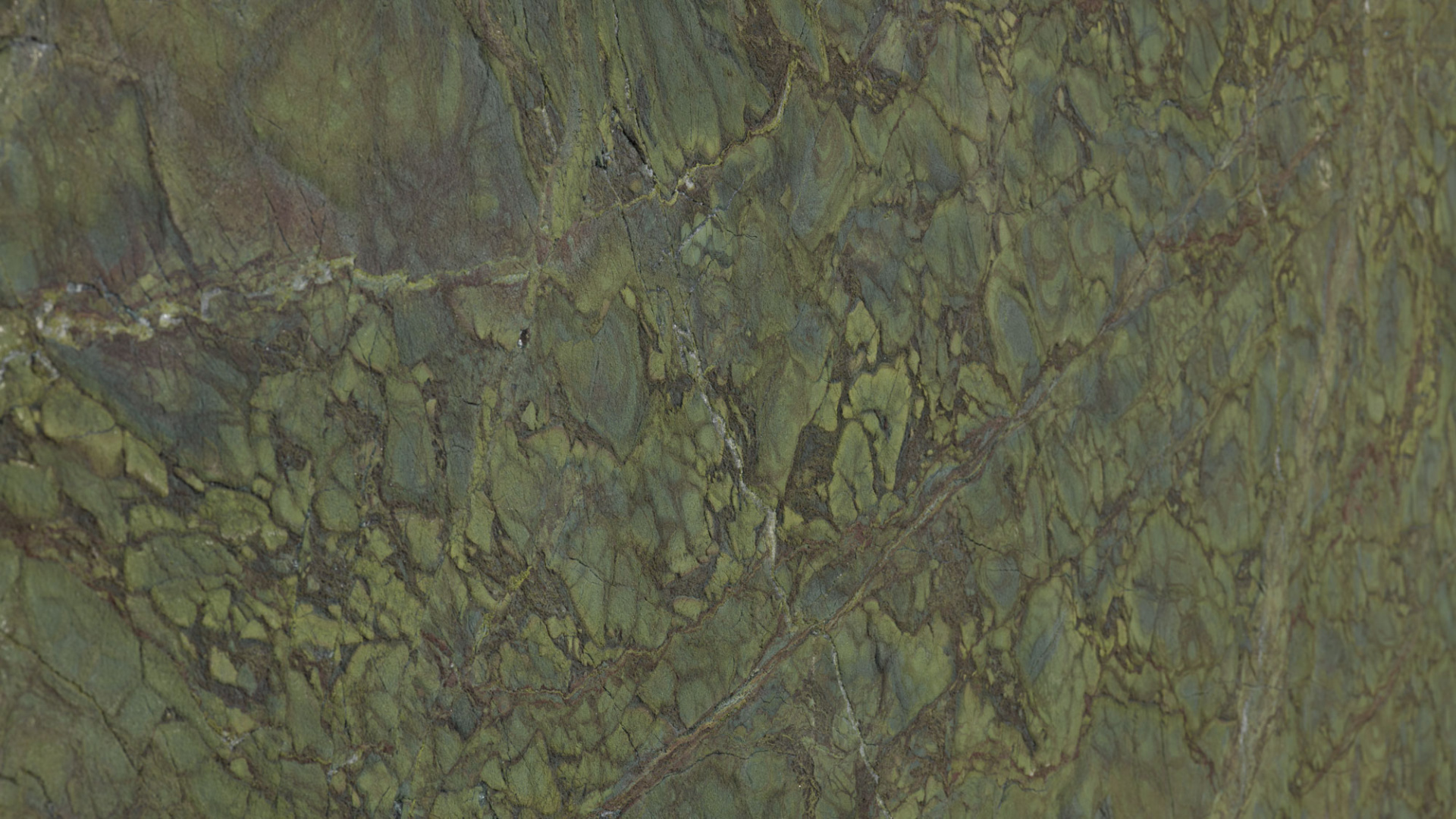 Verde Amazonia - Верде Амазония