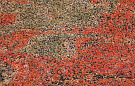 Multicolor Red - Мультиколор Ред от Нэнси