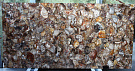 Brown Petrified Wood - Браун Петрифайд Вуд от Нэнси