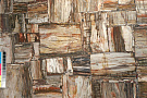 Retro Petrified Wood - Ретро Петрифайд Вуд