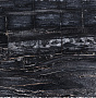 Excusive Black Petrified Retro - Эксклюзив Блэк Петрифайд Ретро