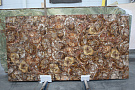 Brown Petrified Wood - Браун Петрифайд Вуд от Нэнси