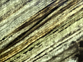 Calcite Caraibica - Кальцит Караибика