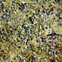 New Venetian Gold - Нью Венециан Голд от Нэнси