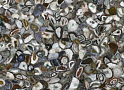Agate Green - Агат Грин
