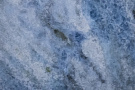Calcite Caraibica Blue Extra - Кальцит Караибика Блю Экстра